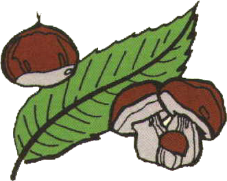 Confrérie du Châtaigner de la Châtaigne et du Champignon de Villefranche du Périgord 02