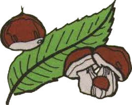 Confrérie du Châtaigner de la Châtaigne et du Champignon de Villefranche du Périgord