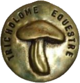 Confrérie gourmande du Bidaou de Biscarrosse